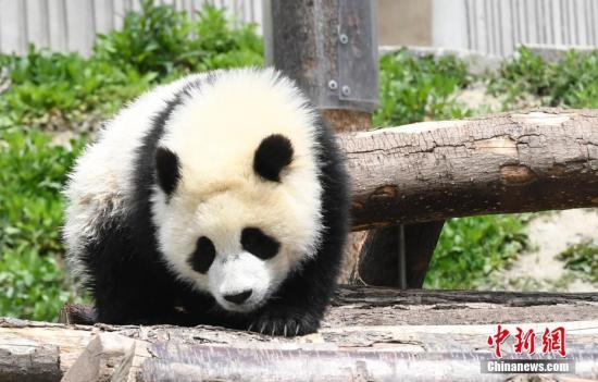 点击进入下一页